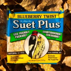 Wildlife Sciences Suet Plus Cake, Blueberry Twist