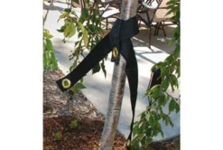 Dewitt Tree Strap, 32 Inch