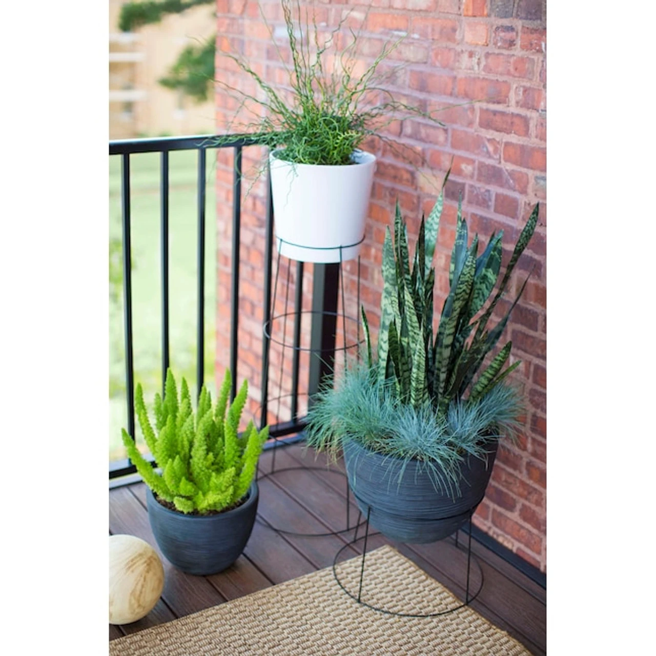Glamos Plant Support, 12" X 42" - Billede 3