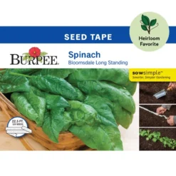 Burpee Bloomsdale Spinach Seed Tape, 22.5ft