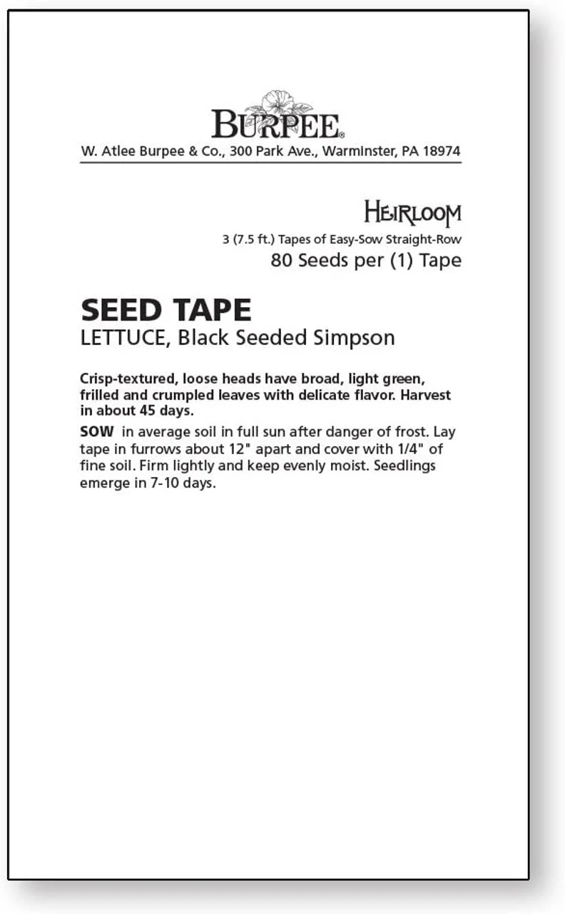 Burpee Lettuce Seed Tape, 15ft - Billede 2