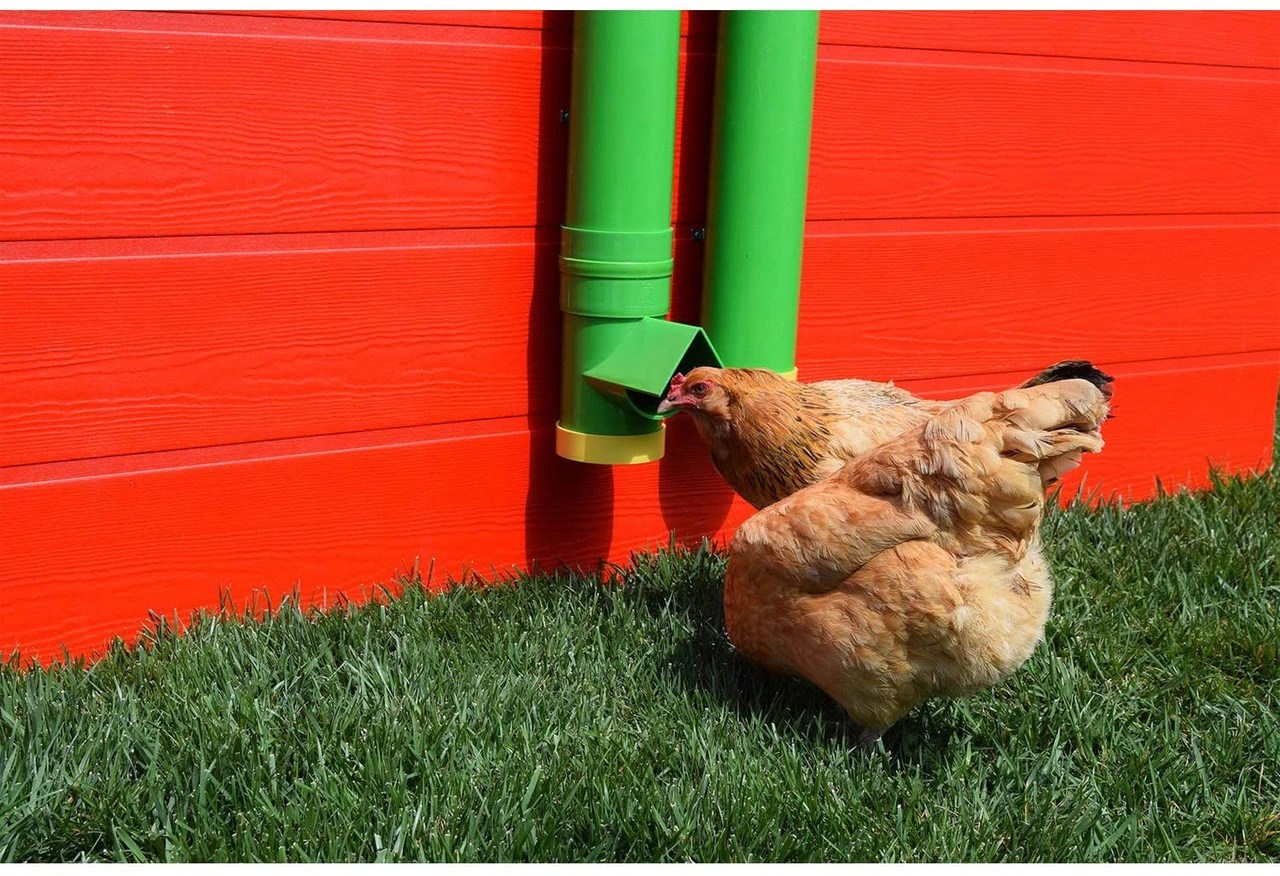 Rugged Ranch Poultry Waterer - Billede 4