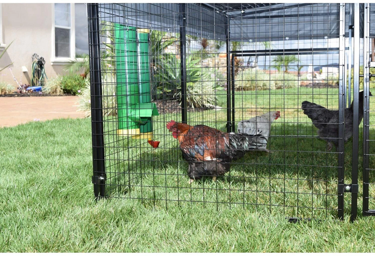 Rugged Ranch Poultry Waterer - Billede 3