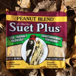 Wildlife Sciences Suet Plus Cake, Peanut Blend