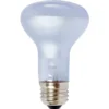 Agrosun Dayspot Incandescent Bulb, 60W