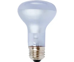 Agrosun Dayspot Incandescent Bulb, 60W