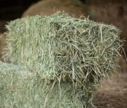 Local Brome Hay Bale, 55lb