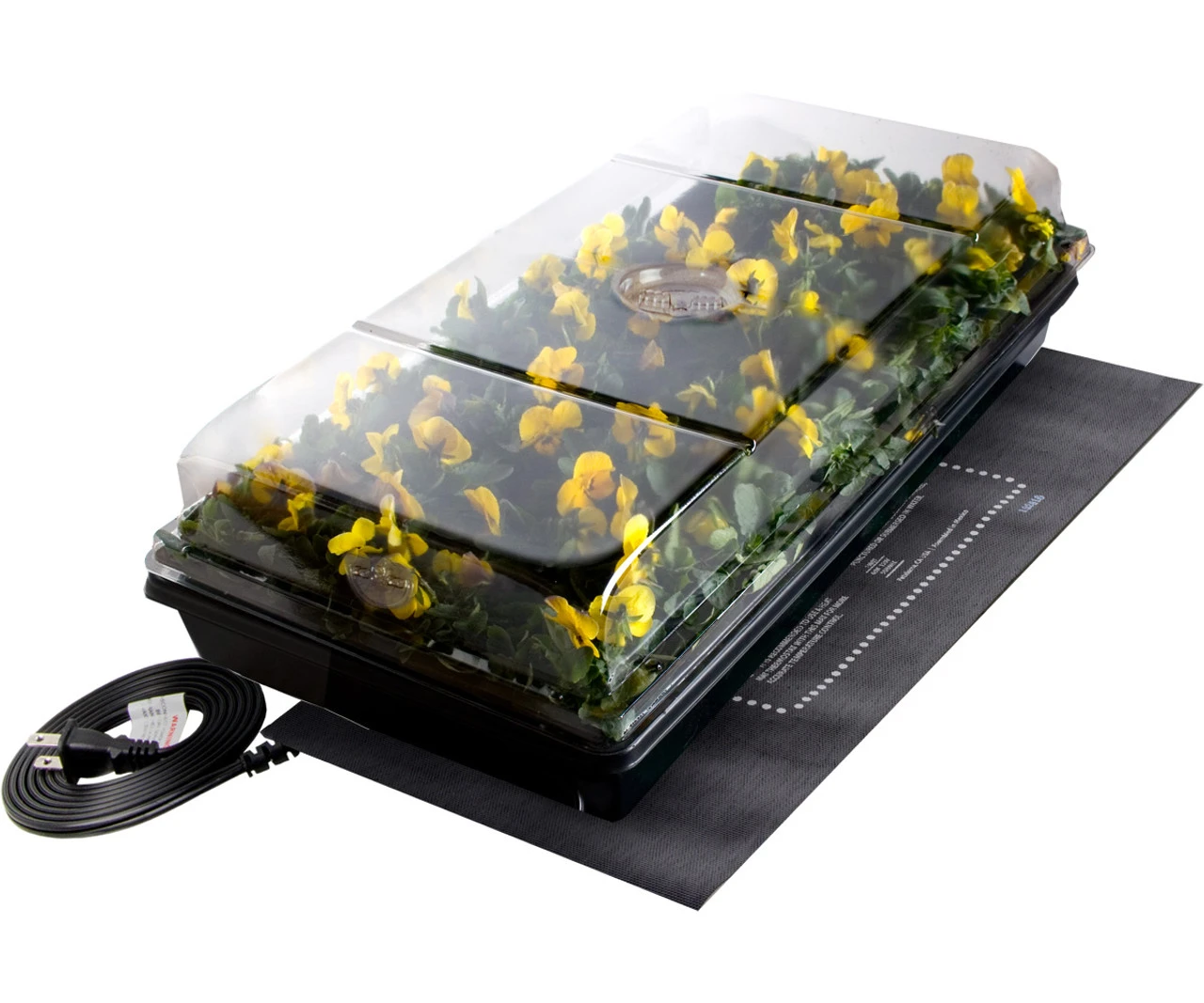 JumpStart Germination Station - Billede 2