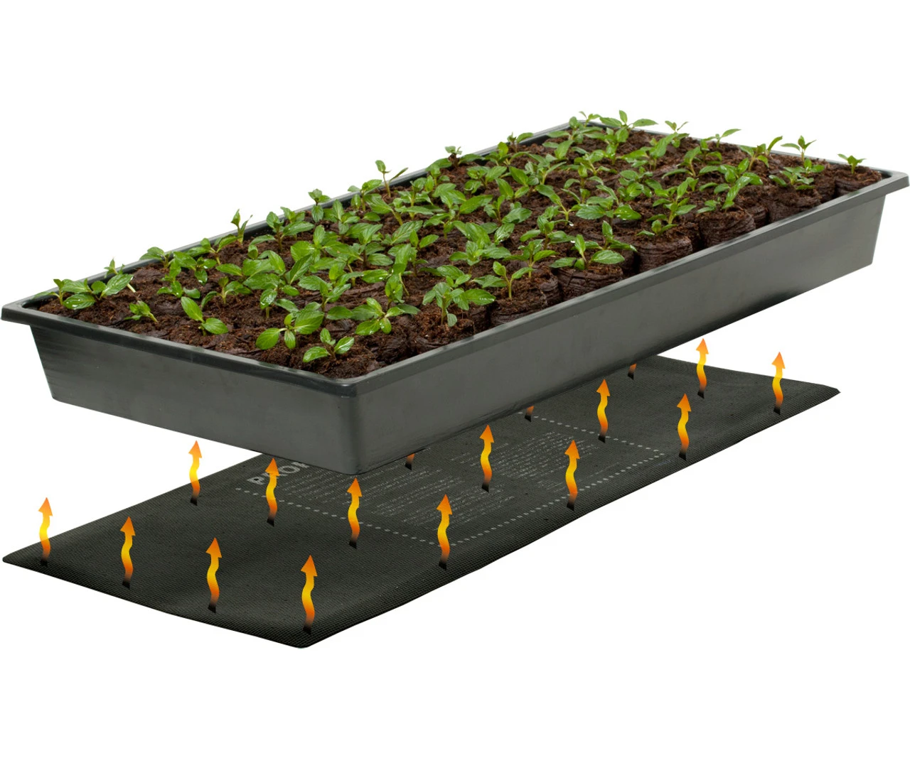JumpStart Germination Station - Billede 3