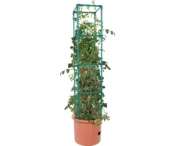 HydroFarm Tomato Barrel With Tower