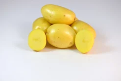 Gioconda Seed Potato, 1lb