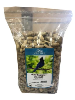 Arctic Wild Bird Raw Peanuts In Shell