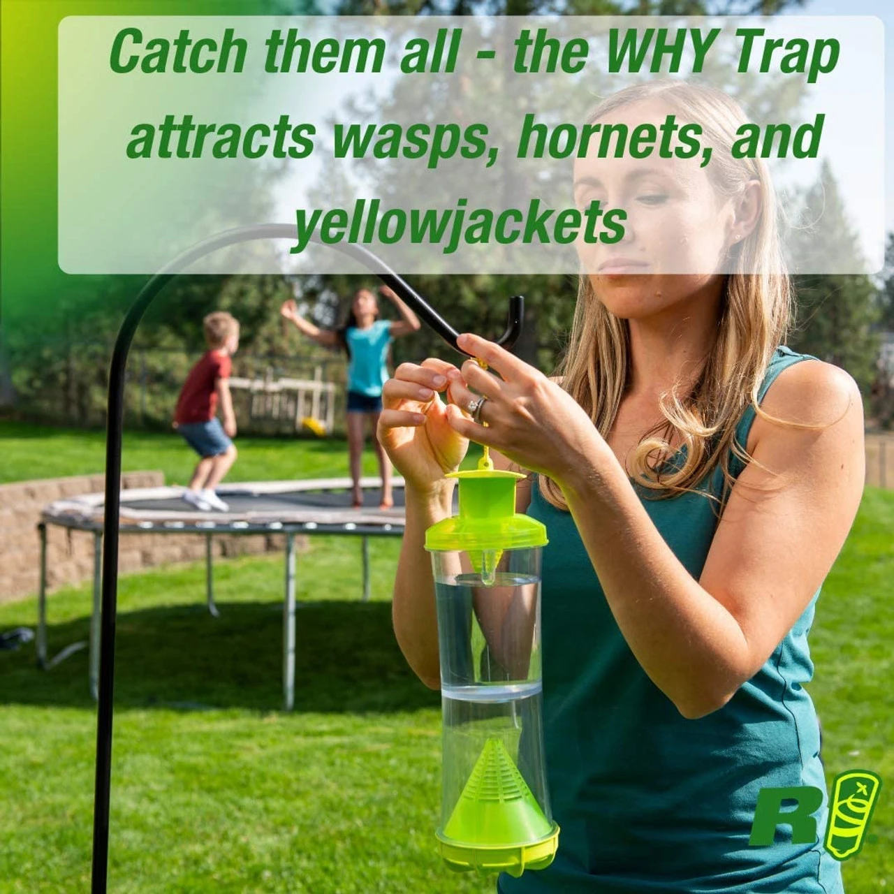 Rescue WHY Trap For Wasps, Hornets, & Yellowjackets - Billede 3