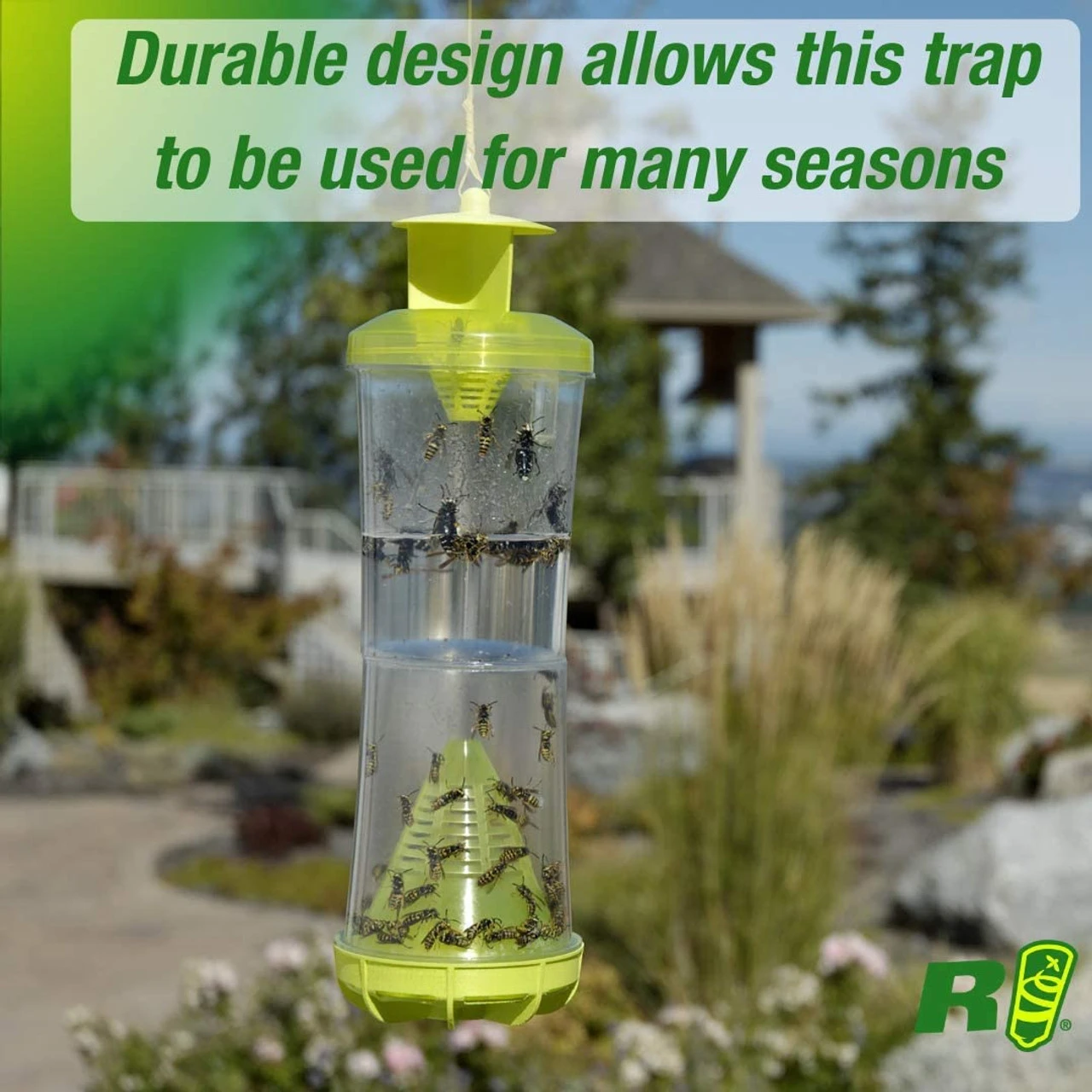 Rescue WHY Trap For Wasps, Hornets, & Yellowjackets - Billede 4