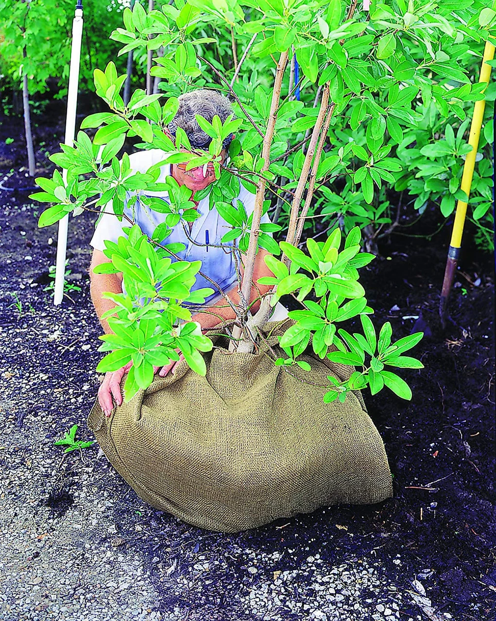 Dewitt 3-Foot By 24-Foot Burlap - Billede 3