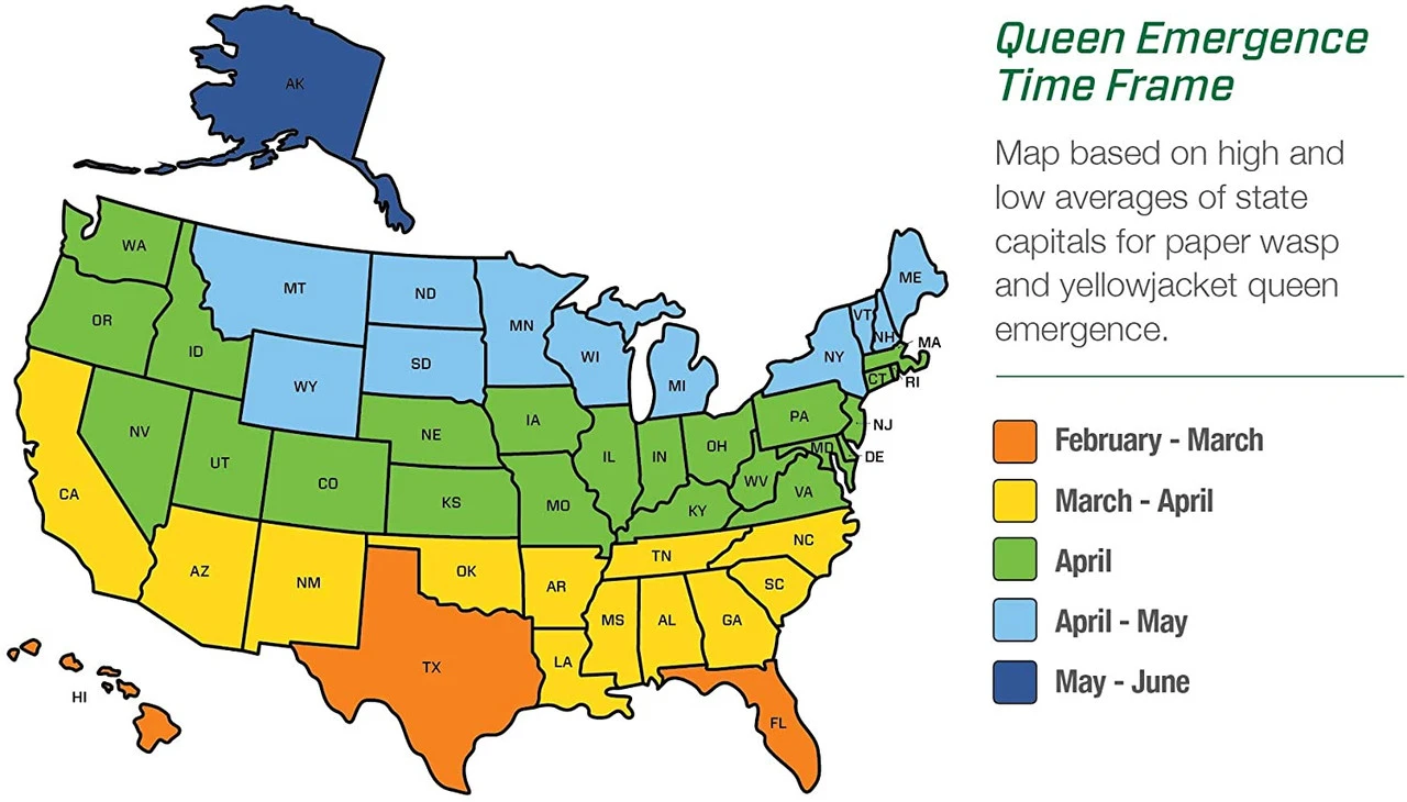 Rescue Yellowjacket Attractant Cartridge - Billede 7