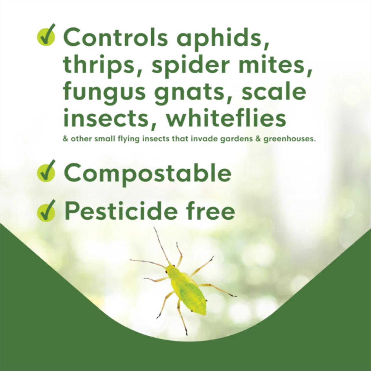 BioCare Aphid And Whitefly Trap, 4 Pack - Billede 5