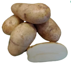 Shepody Seed Potato, 1lb