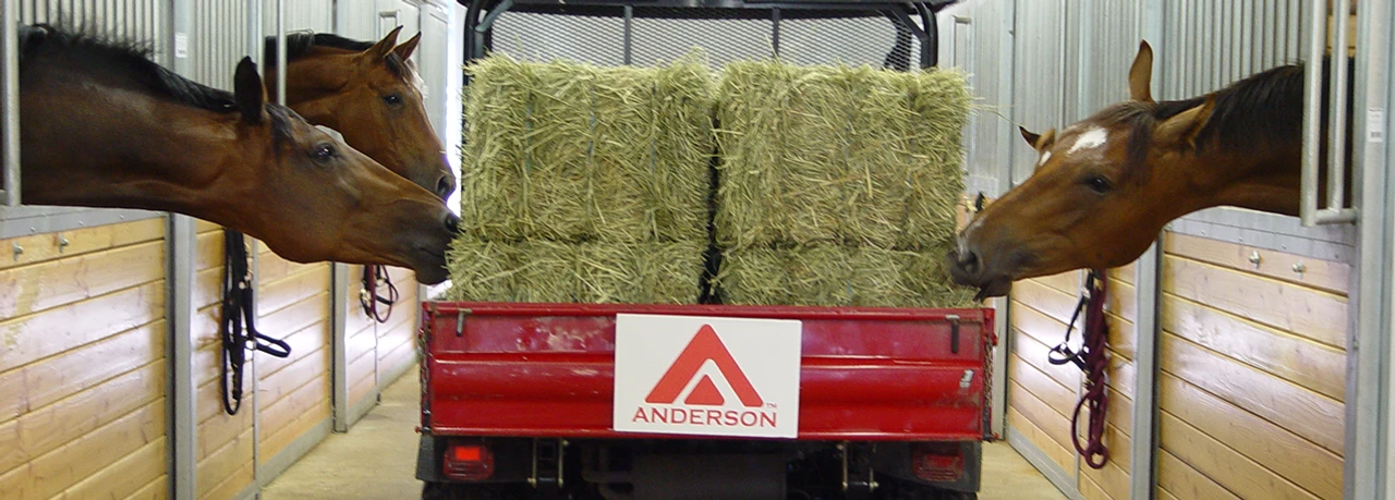 Outside Sliced Timothy Hay Bale, 55lb